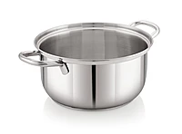 Sonu Stainless Steel Wonder Pot | Cooking Pot with Glass Lid, Triply Base