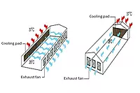 Polyhouse Fan & Pad Cooling System Installation