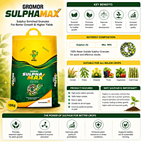 Coromandel GROMOR® SULPHAMAX | Vetrivel Agro Services