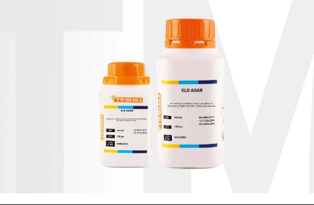 Xylose Lysine Deoxycholate Agar Base