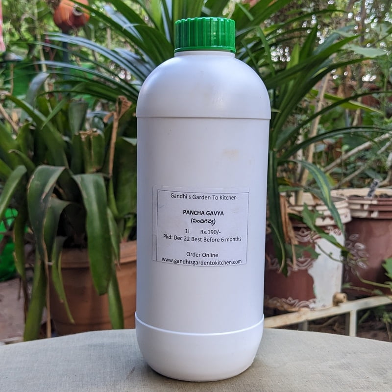 1 Ltr Panchagavya Liquid Fertiliser