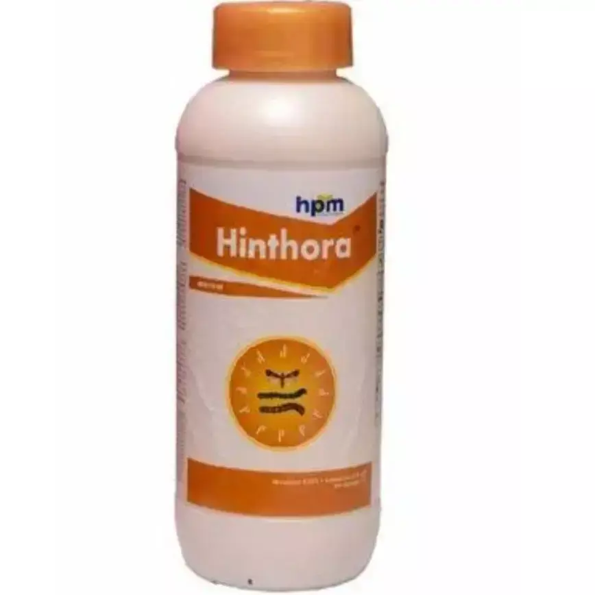Hinthora -(HPM)