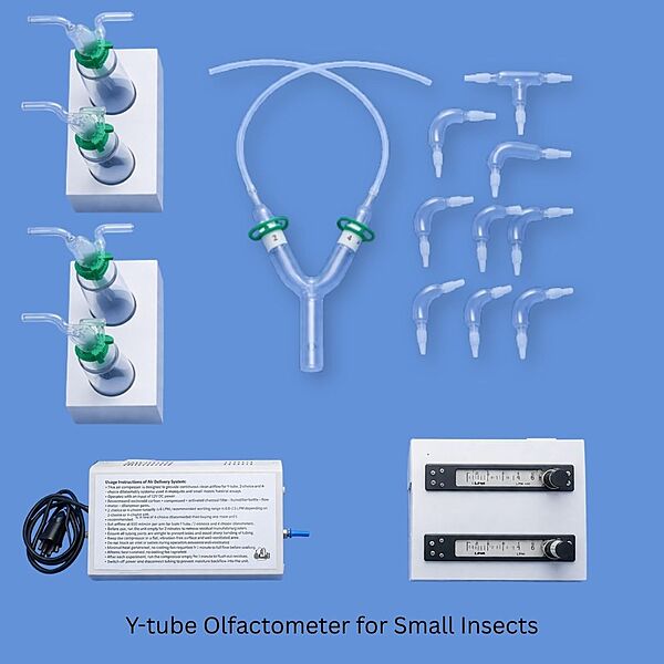 Y-tube Olfactometer for Small Insects