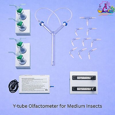 Y-tube Olfactometer for Medium Insects
