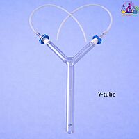 Y-tube for Medium Insects