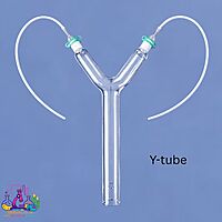 Y-tube for Large Insects