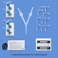 Y-Tube Olfactometer for Small Insects | Multiple Size Glass Variants