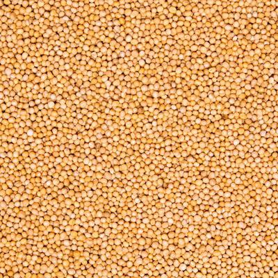 Raaja Masala - Pili Sarson (Yellow Mustard) 1kg Raaja Masala - Pili Sarson (Yellow Mustard) 1kg