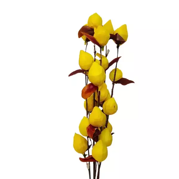 lotus bud stick for elegant décor and floral styling,eco-friendly dried flower stick for vases