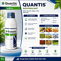 Syngenta QUANTIS® Biostimulant | Vetrivel Agro Services