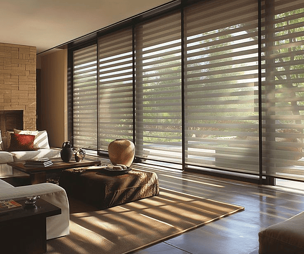 Zebra / Vision Blinds