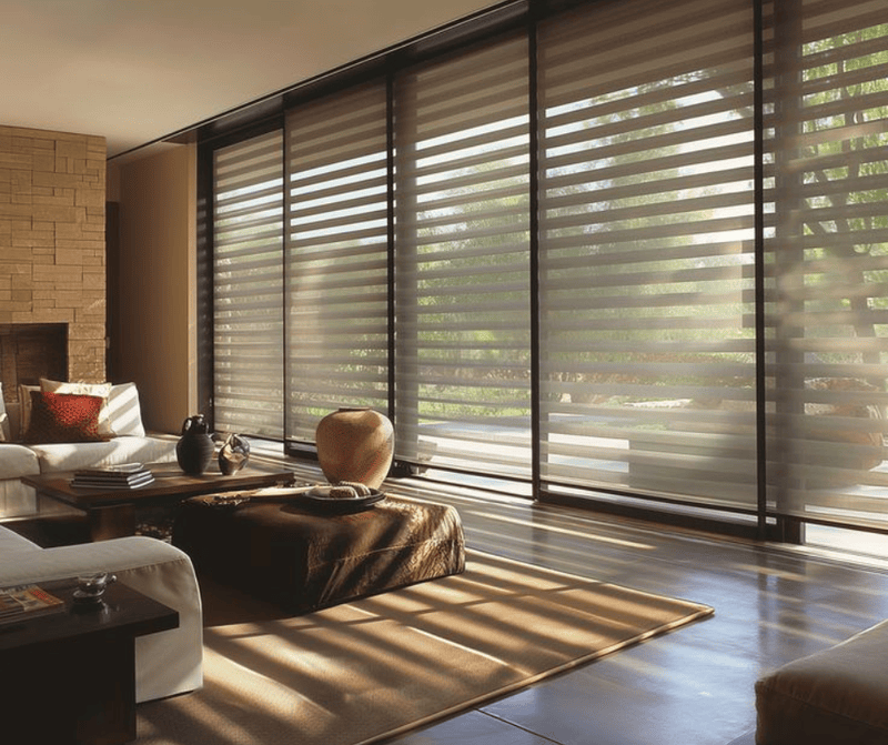 Zebra / Vision Blinds