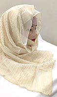 Zera Premium Malaysian Georgette Shimmer Border Embellished Stone and Frill