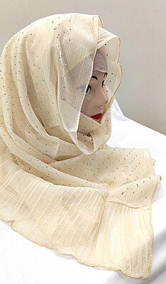 Zera Premium Malaysian Georgette Shimmer Border Embellished Stone and Frill