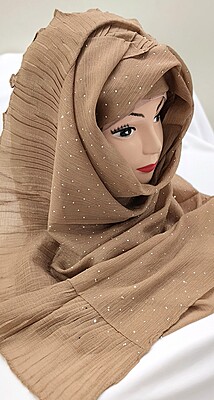 Zera Premium Malaysian Georgette Shimmer Border Embellished Stone and Frill