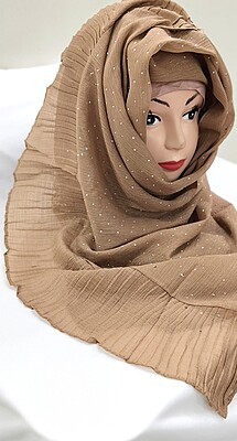 Zera Premium Malaysian Georgette Shimmer Border Embellished Stone and Frill