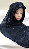Zera Premium Malaysian Georgette Shimmer Border Embellished Stone and Frill