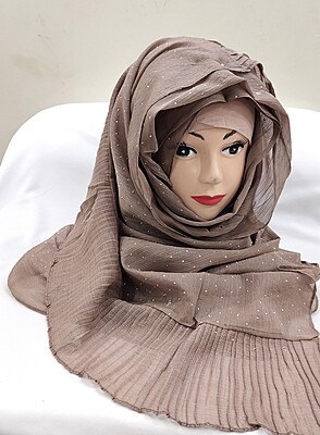 Zera Premium Malaysian Georgette Shimmer Border Embellished Stone and Frill