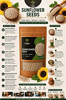 Sunflower Seeds | Healthyx Zone