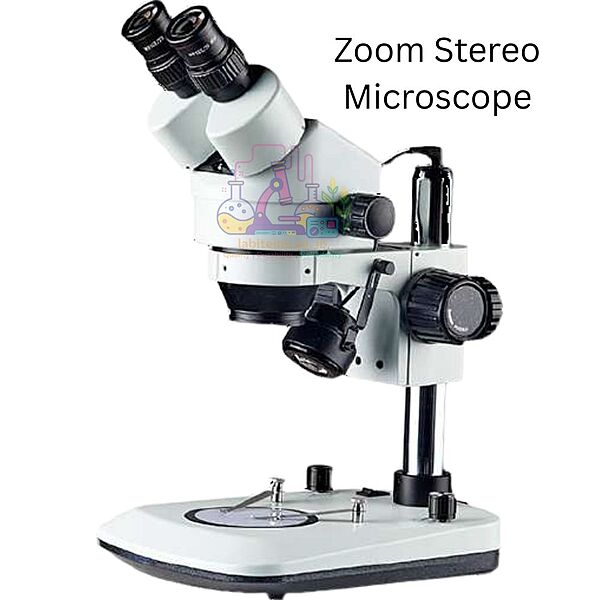 Zoom Stereo Microscope - MICRON