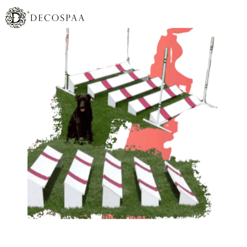 Broad Jump (3 to 5 unit)