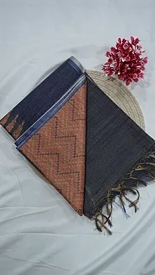 Baswada Fancy Saree – Design 10