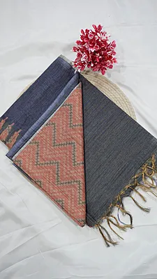 Baswada Fancy Saree – Design 10