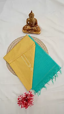 Baswada Fancy Saree – Pastel Collection