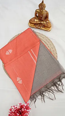 Baswada Fancy Saree – Pastel Collection