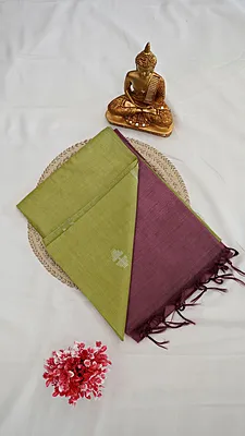 Baswada Fancy Saree – Pastel Collection