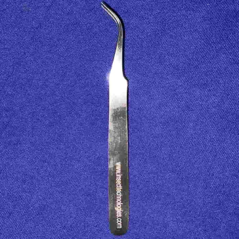 Entomological Forceps - 11.5cm curved with sharp tip