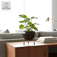 Black & Gold Abstract