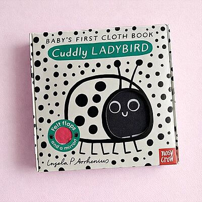 Cuddly Ladybird: Baby’s First Sensory Cloth Book