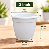 3 Inch Succulent Plastic Pot | ECSHA