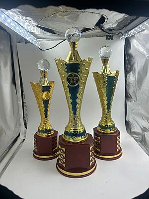 RC-CP1603B G/B 33.50CM