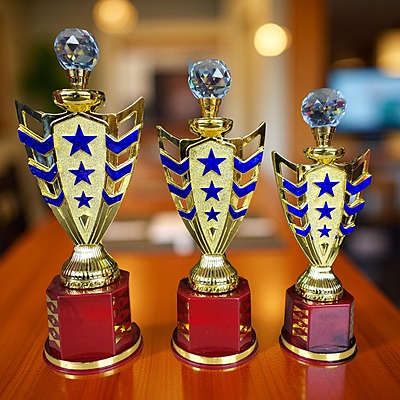 RC-CP1816A 33CM 18%(BLUE)