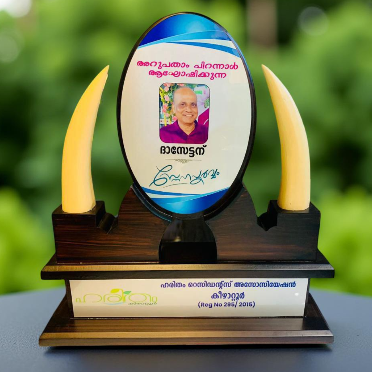 DSN-138 AANA KOMBU 40CM 12%