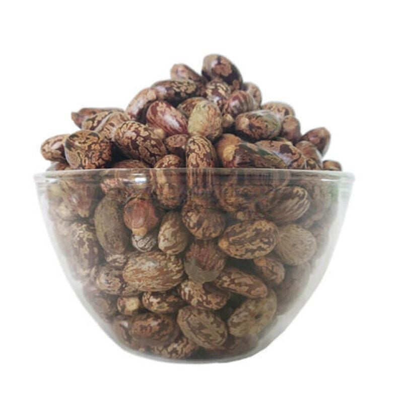 Aamanakku Vithai / Castor Seeds