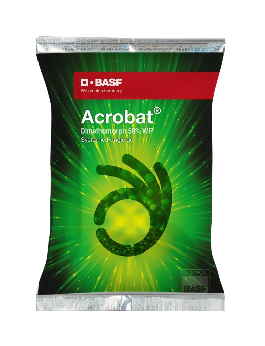 Acrobat by BASF