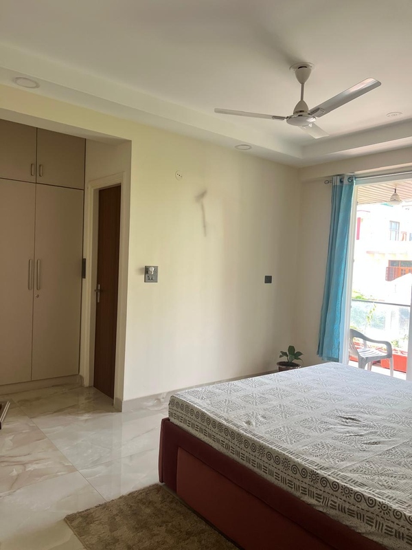The Lioness' Gulmohar House C Scheme Jaipur