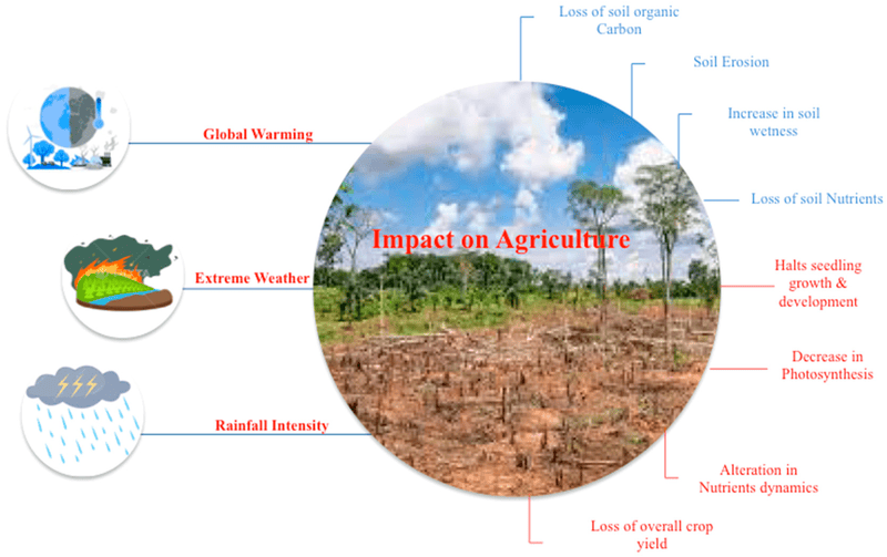ESG & Climate Finance Structuring for Agri Enterprises