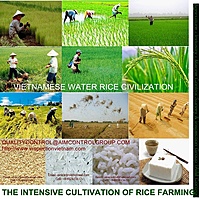 Inventory Valuation & Quality Certification Services