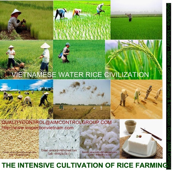 Inventory Valuation & Quality Certification Services