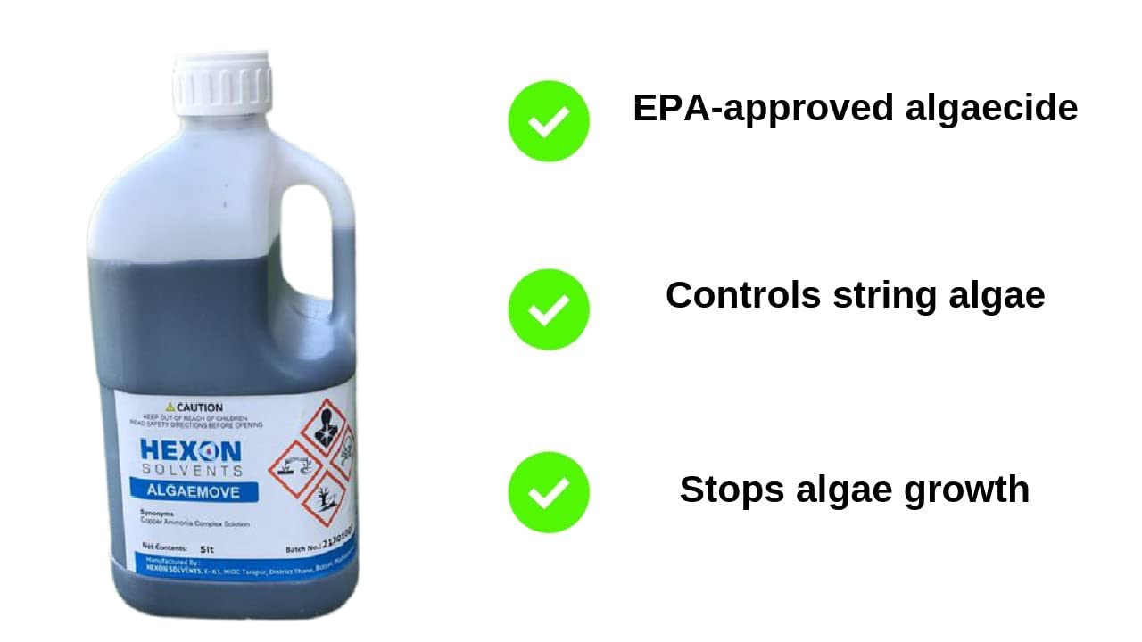 Hexon Swimming Pool Pond, Spa, Fountain Algaecide/algicide Cleaner (2.5 Liters) Hexon Swimming Pool Pond, Spa, Fountain Algaecide/algicide Cleaner (2.5 Liters)