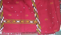 all design with border kullu shawl