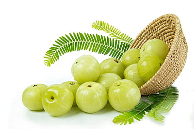 Amla