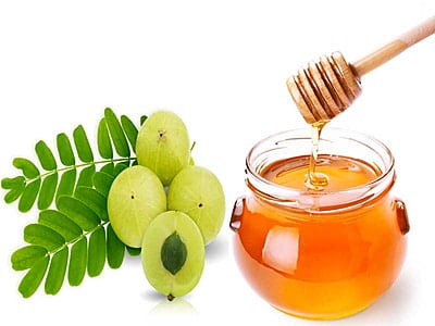 Honey with Amla ( Nelli) Honey with Amla ( Nelli)