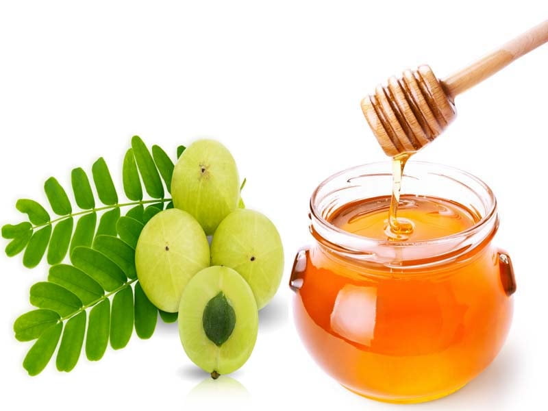 Honey with Amla ( Nelli) Honey with Amla ( Nelli)