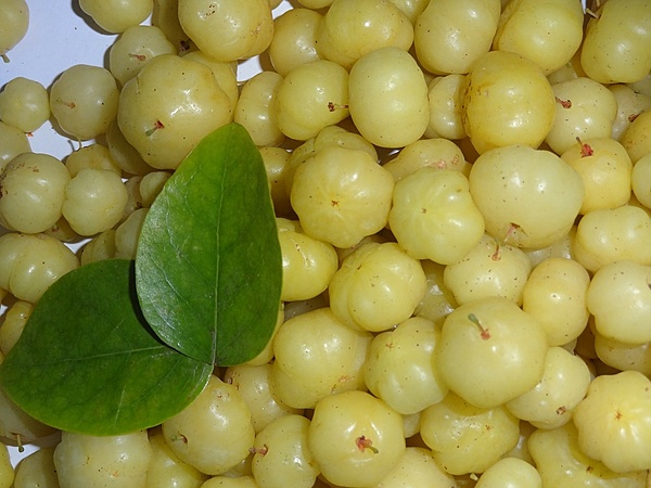 Amla 250 Gms