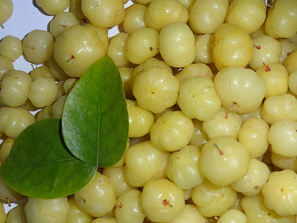 Amla 250 Gms